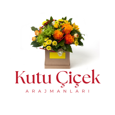 Kutu Çiçek Arajmanları