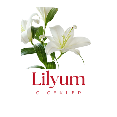 Lilyum Çiçekler