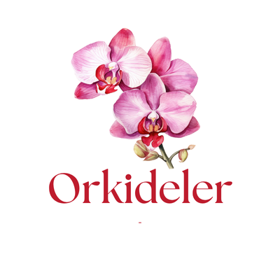 Orkideler