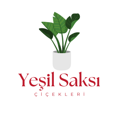 Yeşil Saksı Çiçekleri