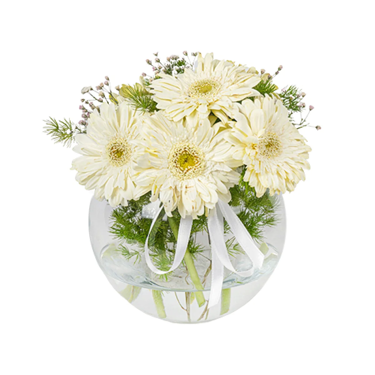 Cam Fanusta Beyaz Gerbera Aranjmanı