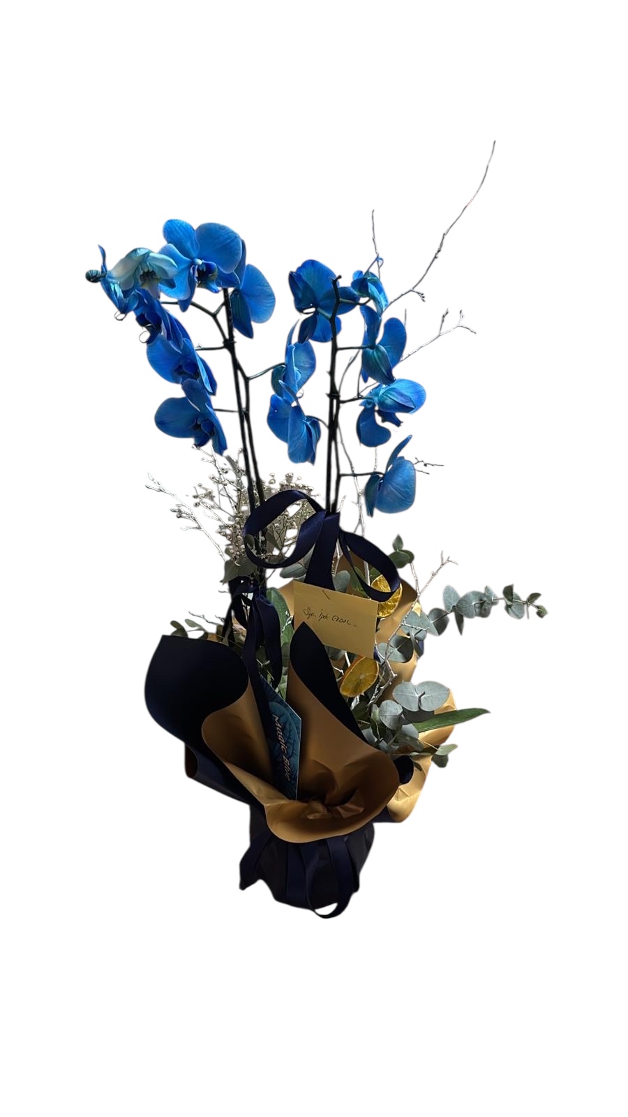 Özel Tasarım Mavi Orkide